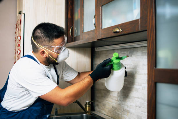 Best Cockroach Control Services  in Heflin, AL