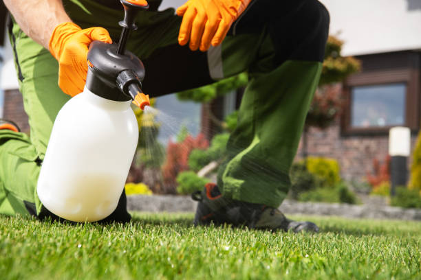 Best Ant Control Services  in Heflin, AL