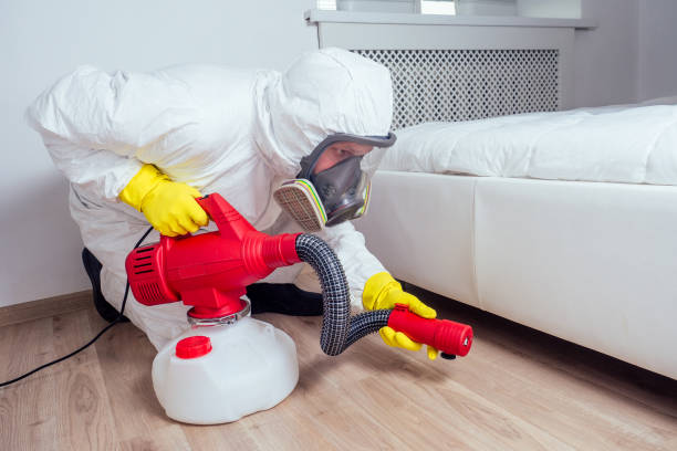 Reliable Heflin, AL Pest Control Solutions