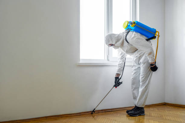 Best Affordable Pest Control Services  in Heflin, AL