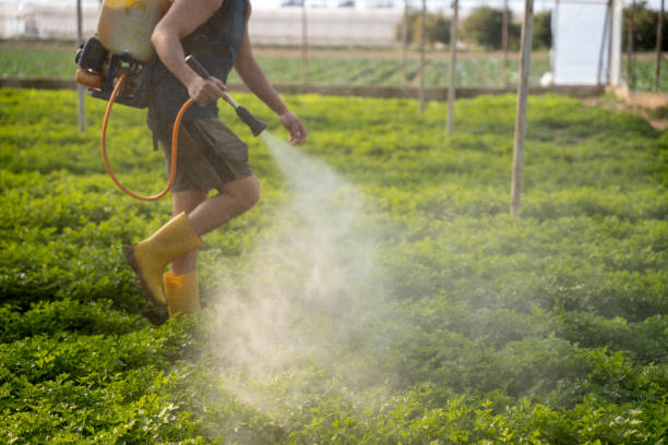 Best Exterminator Services  in Heflin, AL