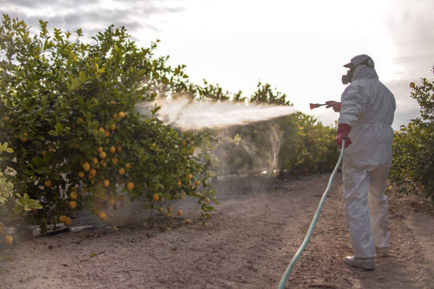 Best Wasp Removal Services  in Heflin, AL