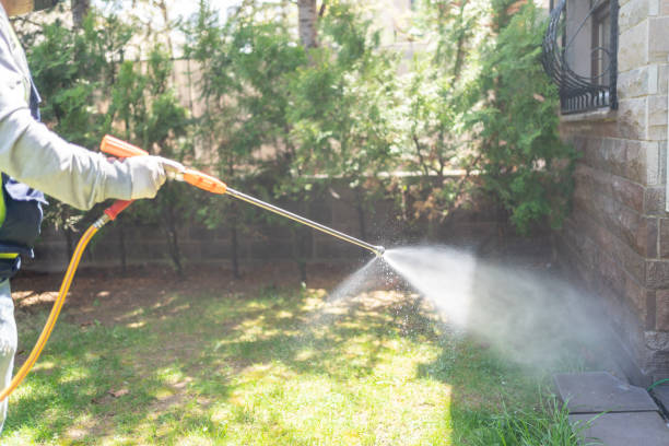 Wasp Removal Services in Heflin, AL