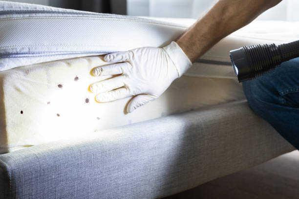 Best Commercial Pest Control Services  in Heflin, AL