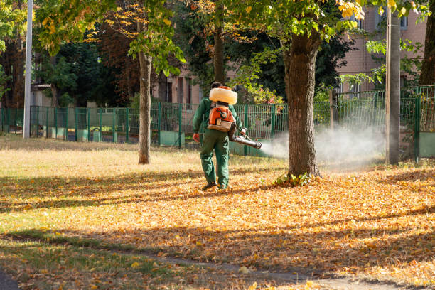 Best Termite Control Services  in Heflin, AL