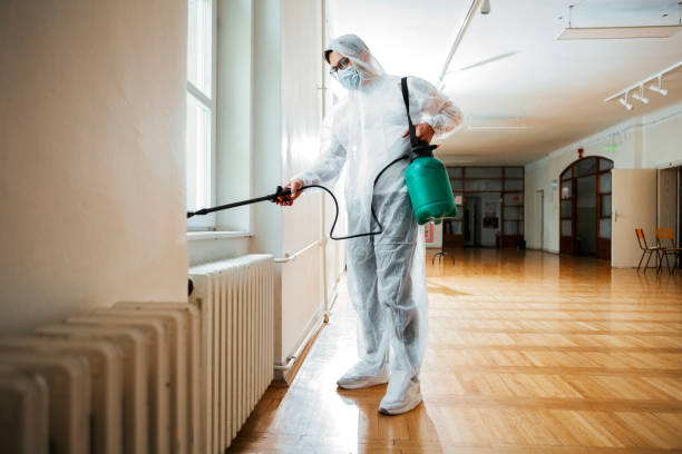 Best Flea Control Services  in Heflin, AL